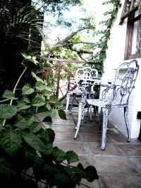 Outdoor patio with metal chairs and table surrounded by greenery