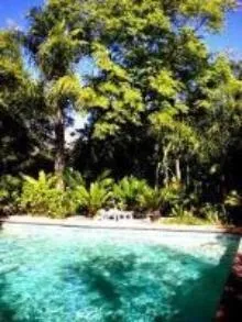 Swimming pool with lush green trees and plants in the background