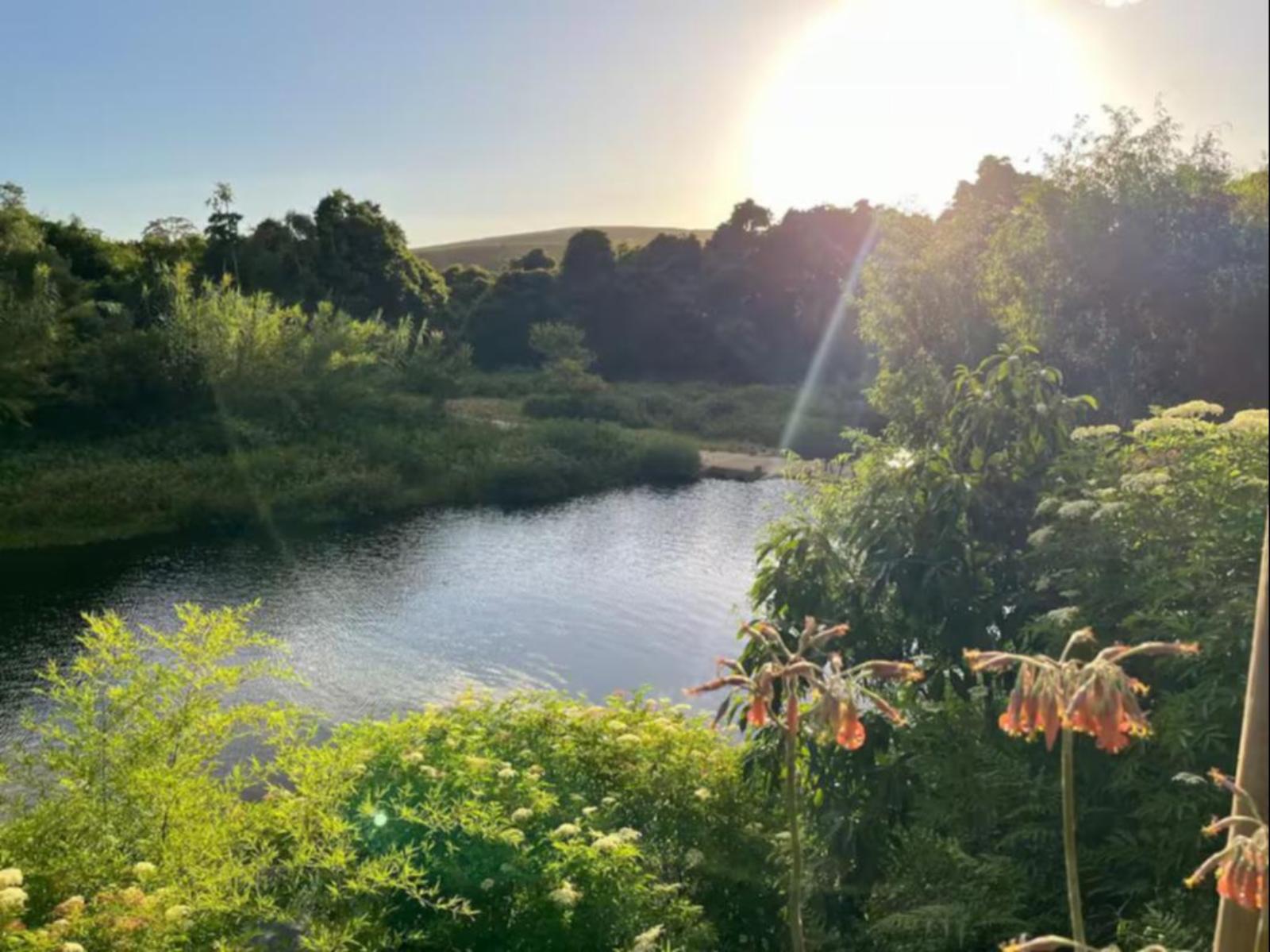 River view