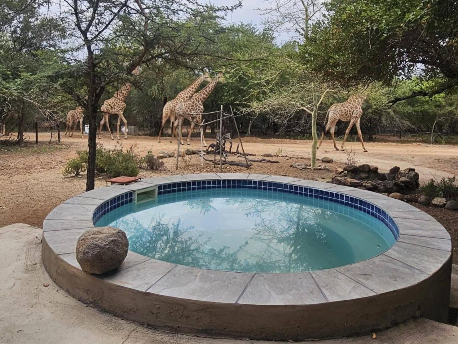 Room 1 — Pool view