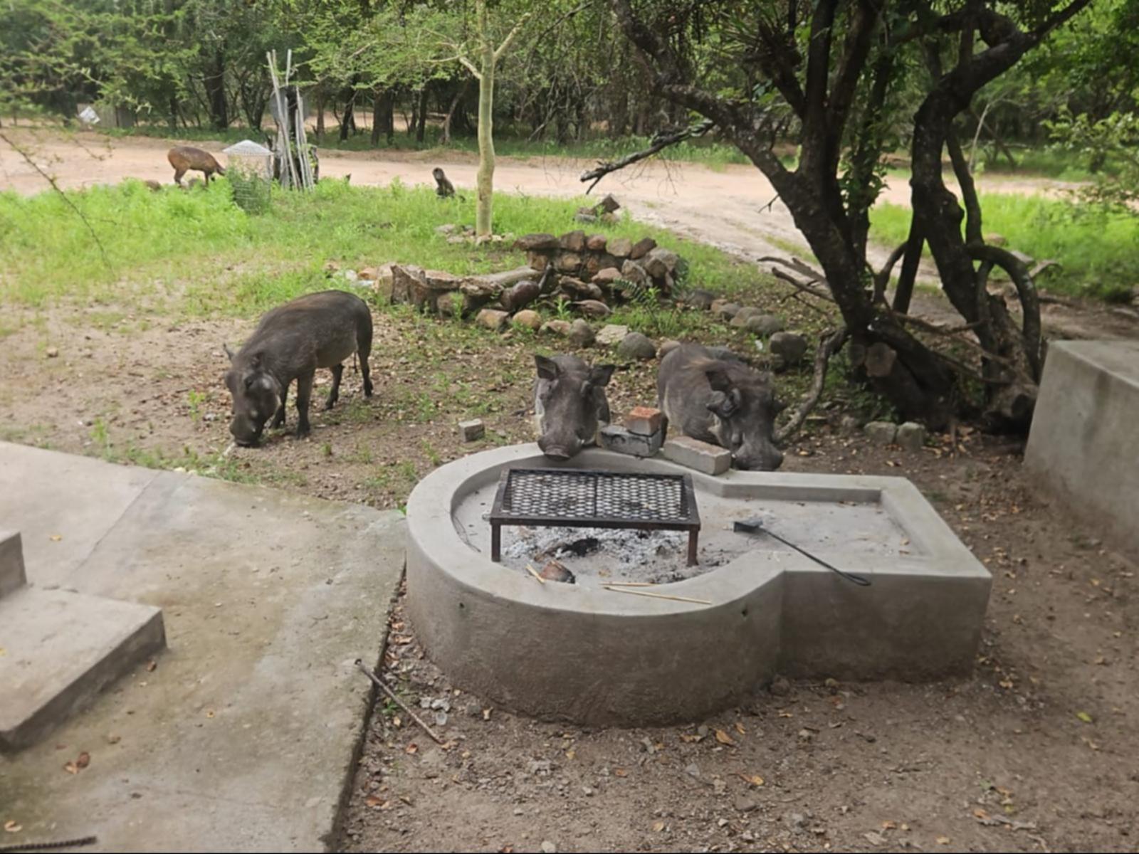 Braai/BBQ facilities