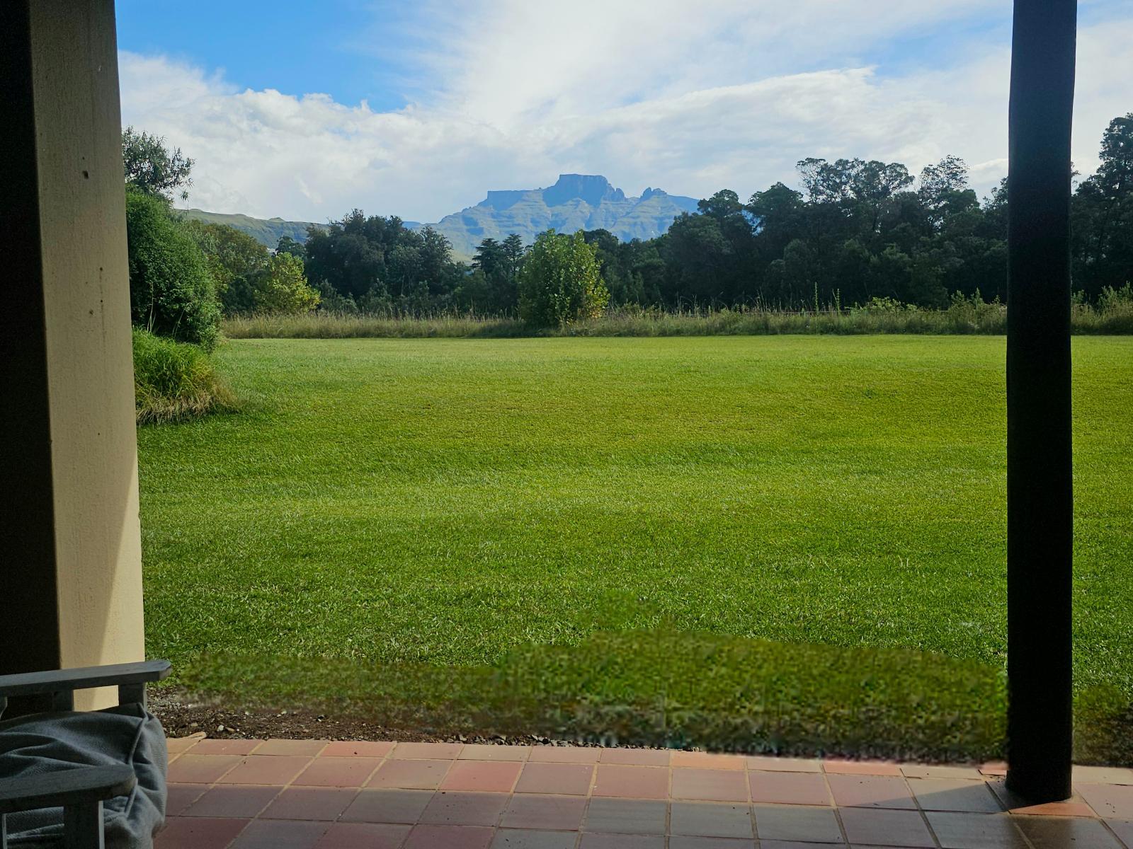 View (from property/room)