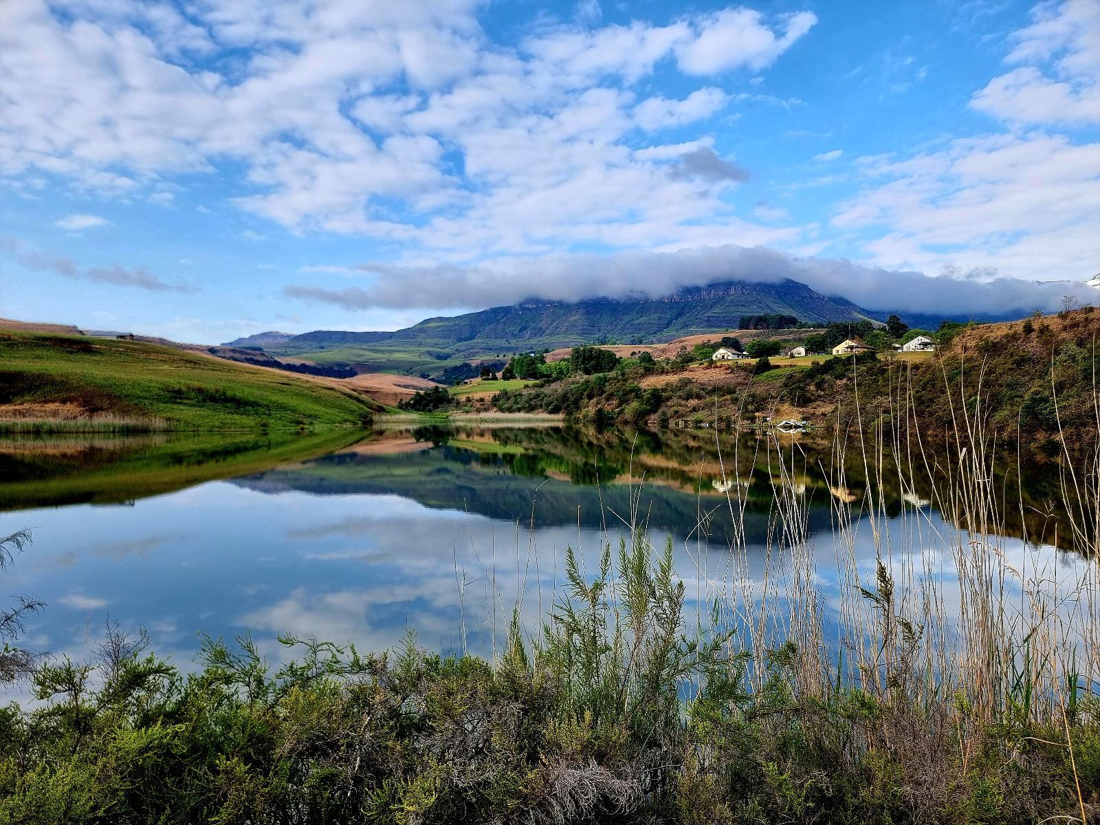 Natural landscape