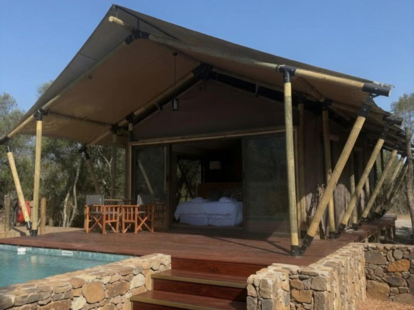 Room 2 — Pool view