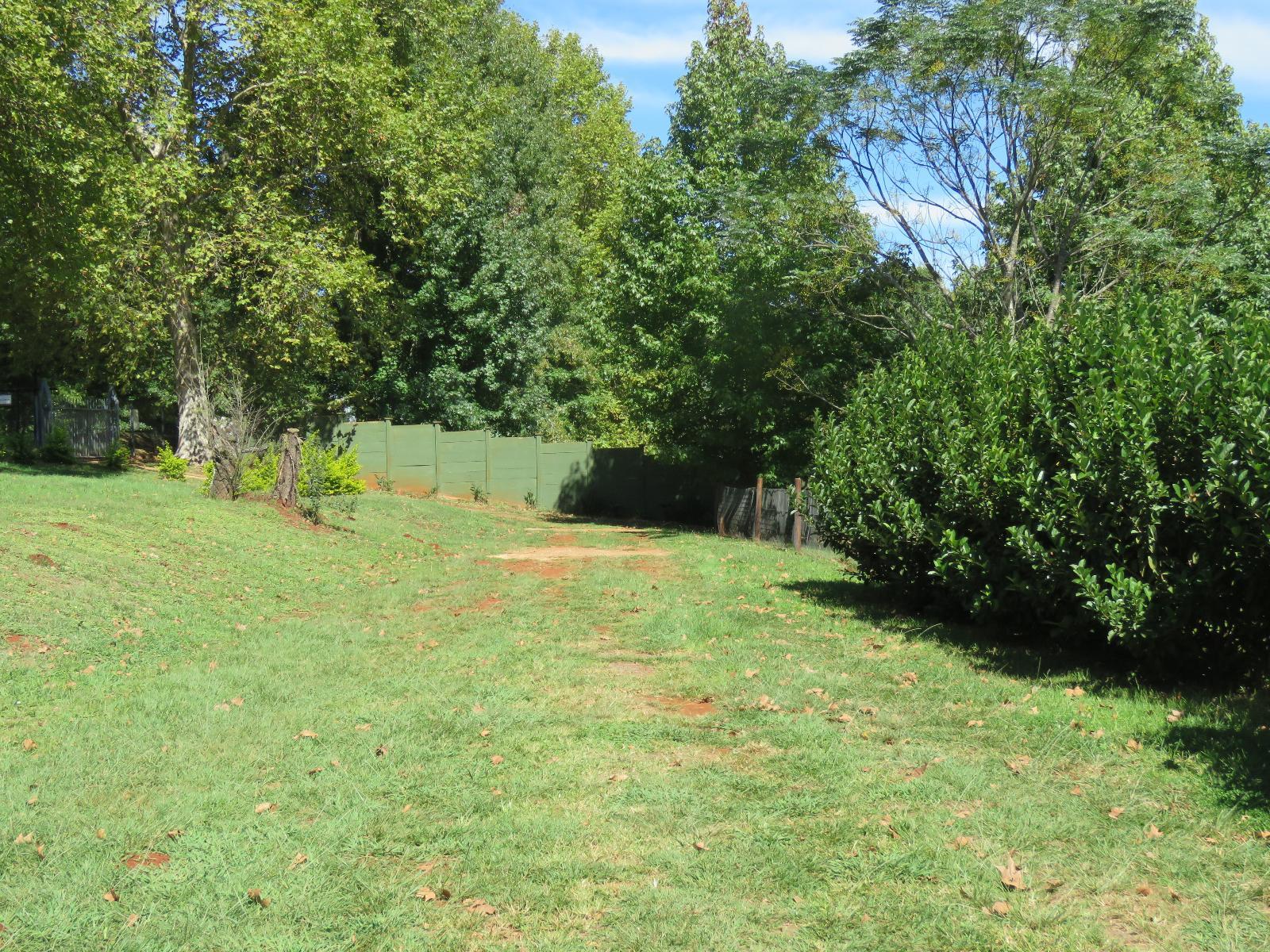 Garden view