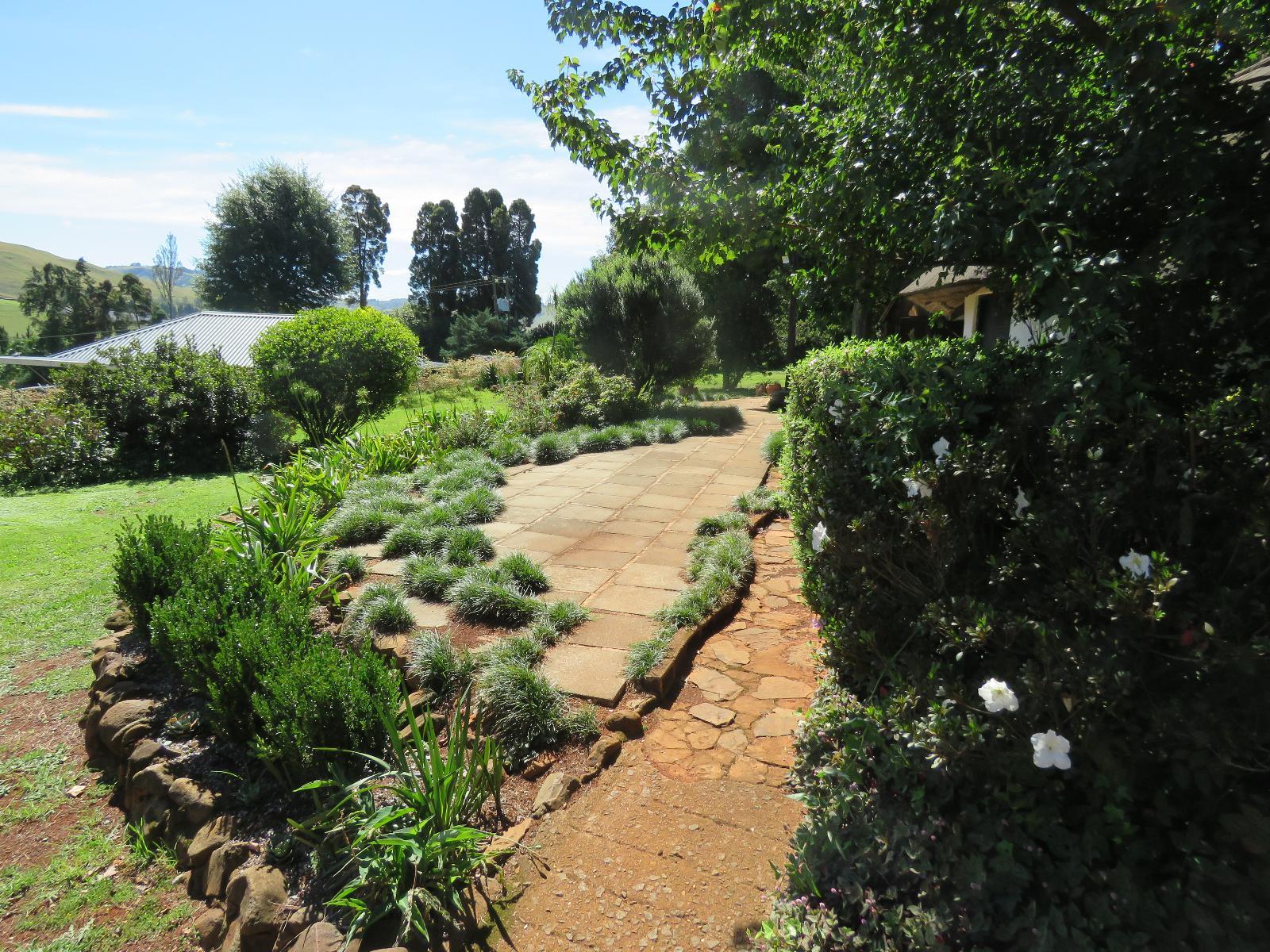 Garden view