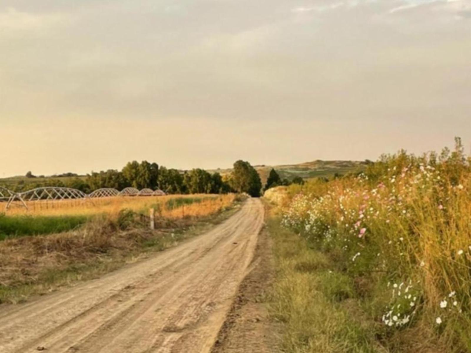 Natural landscape