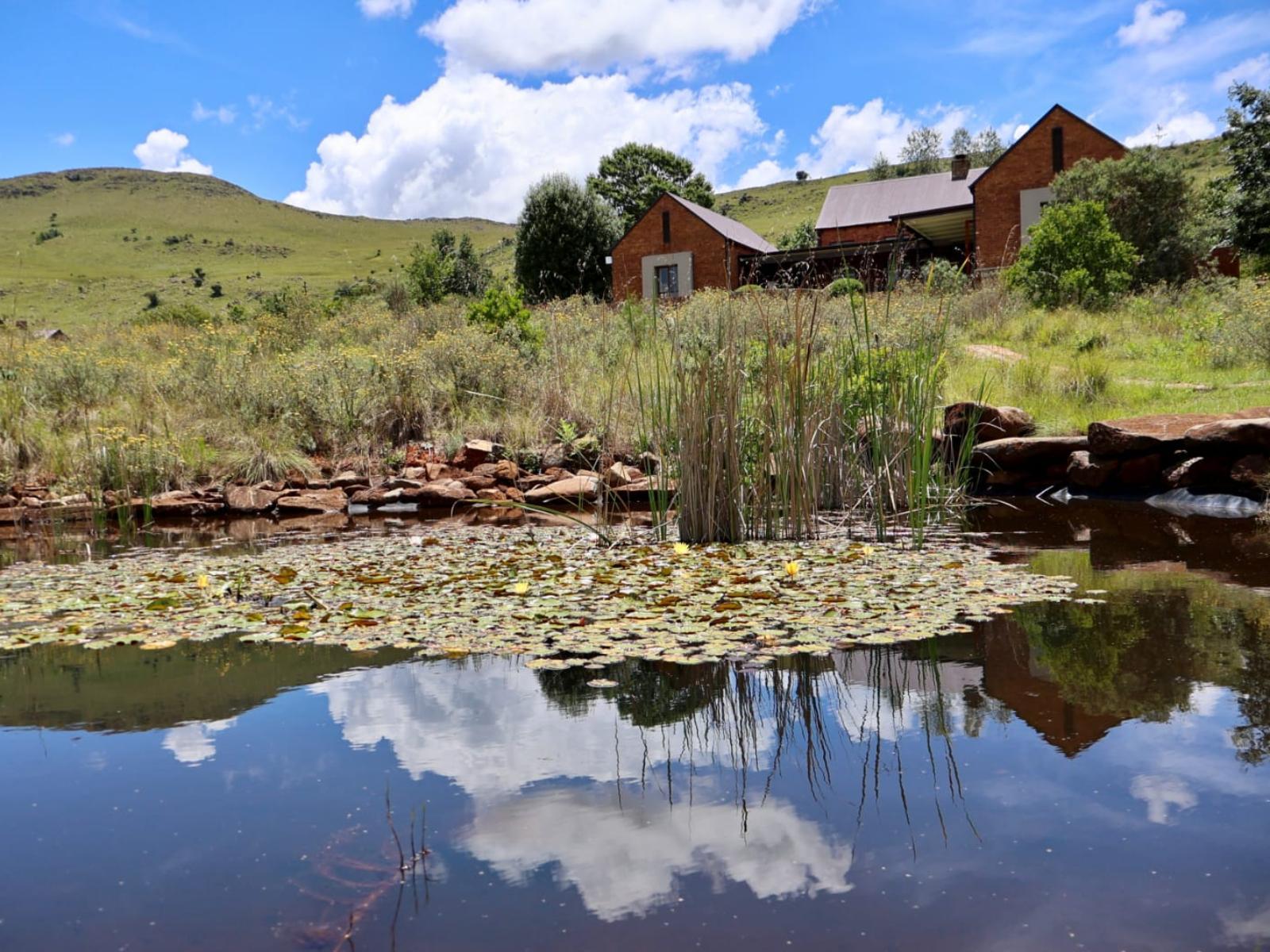Lake view