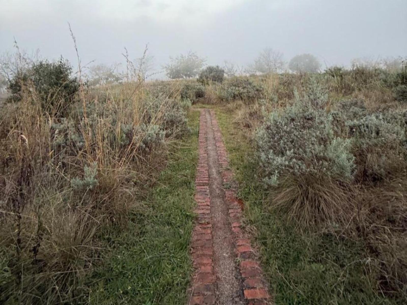 Natural landscape