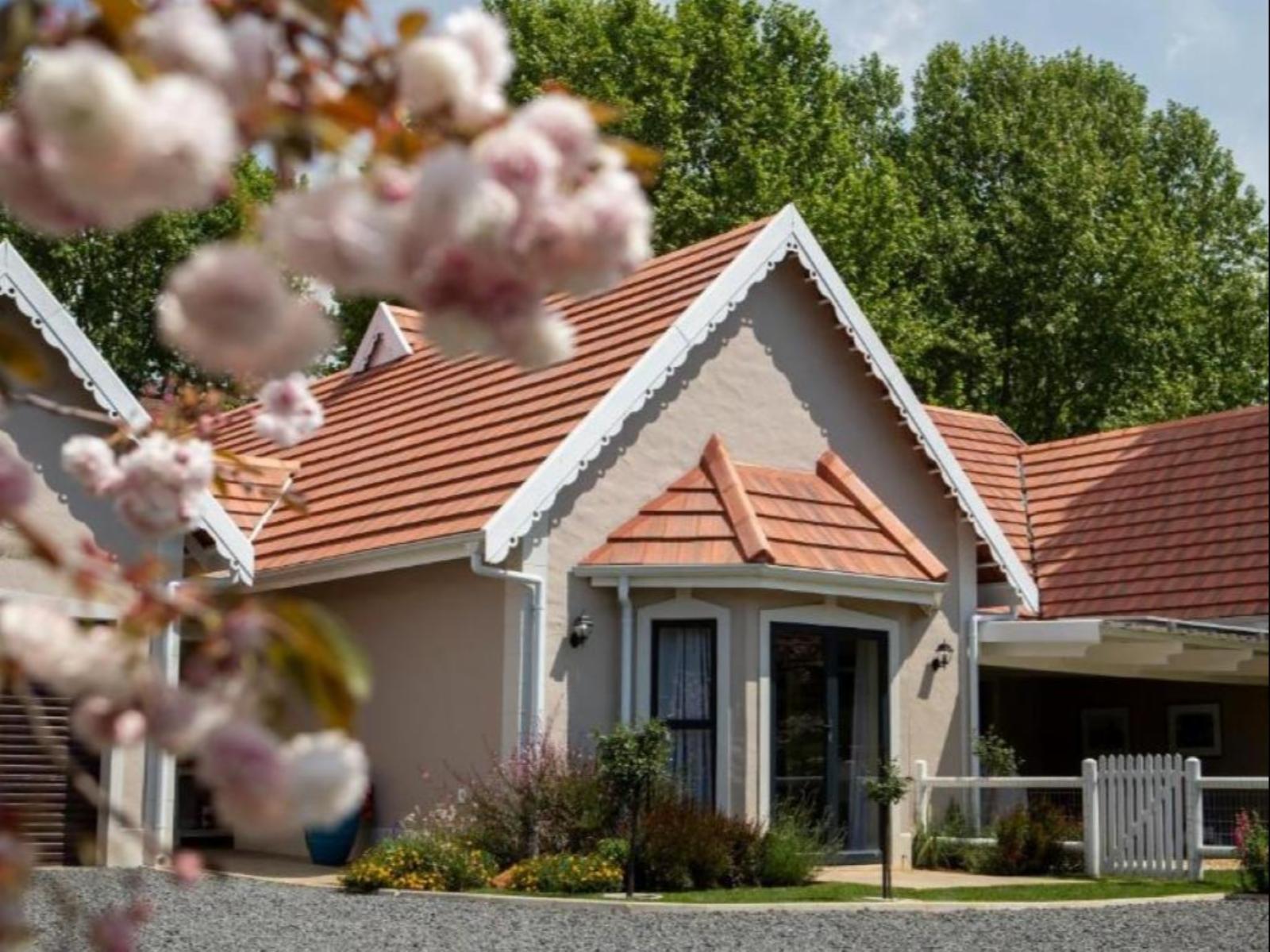 Property / Building