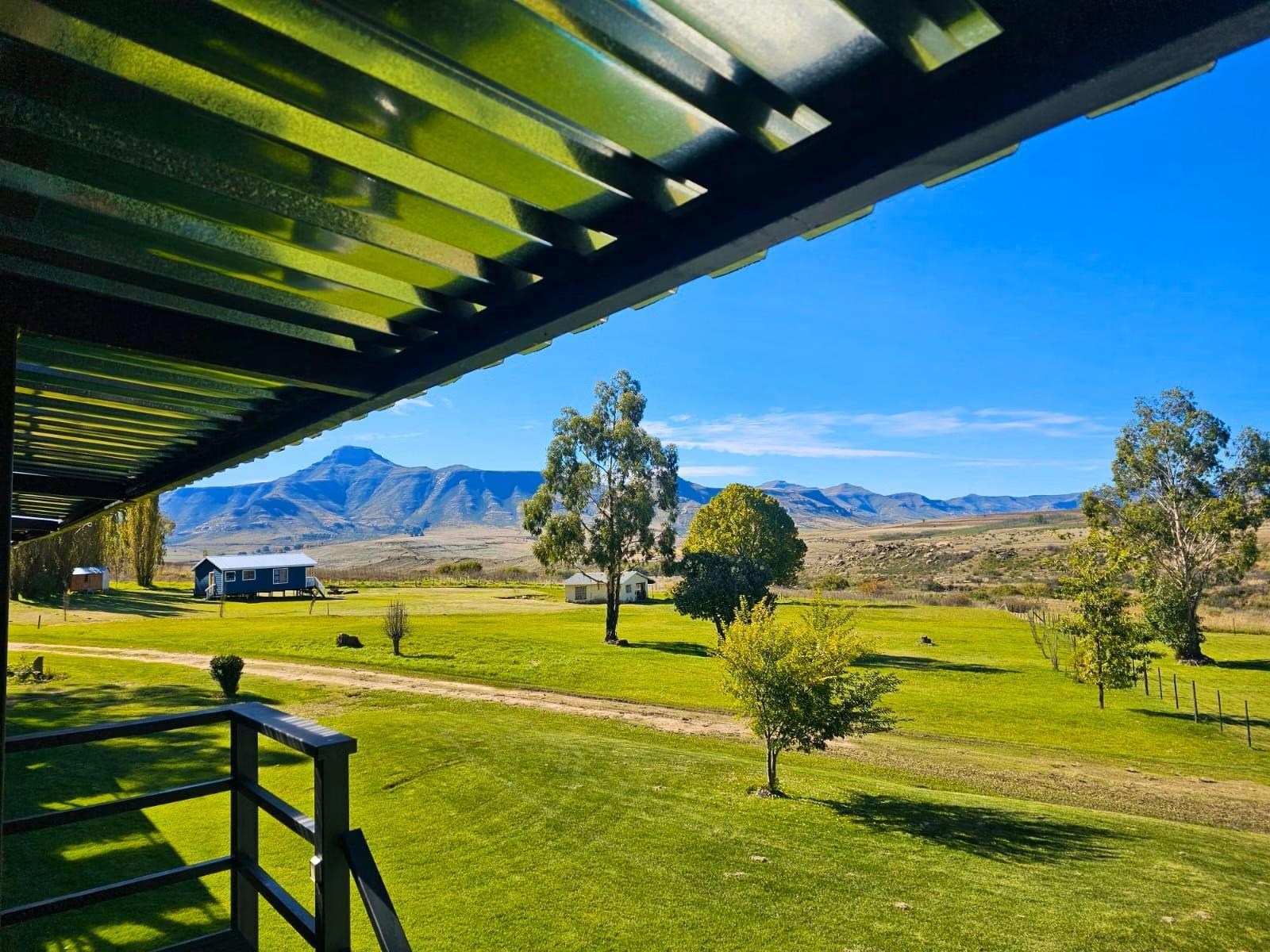 Room 1 — Garden view
