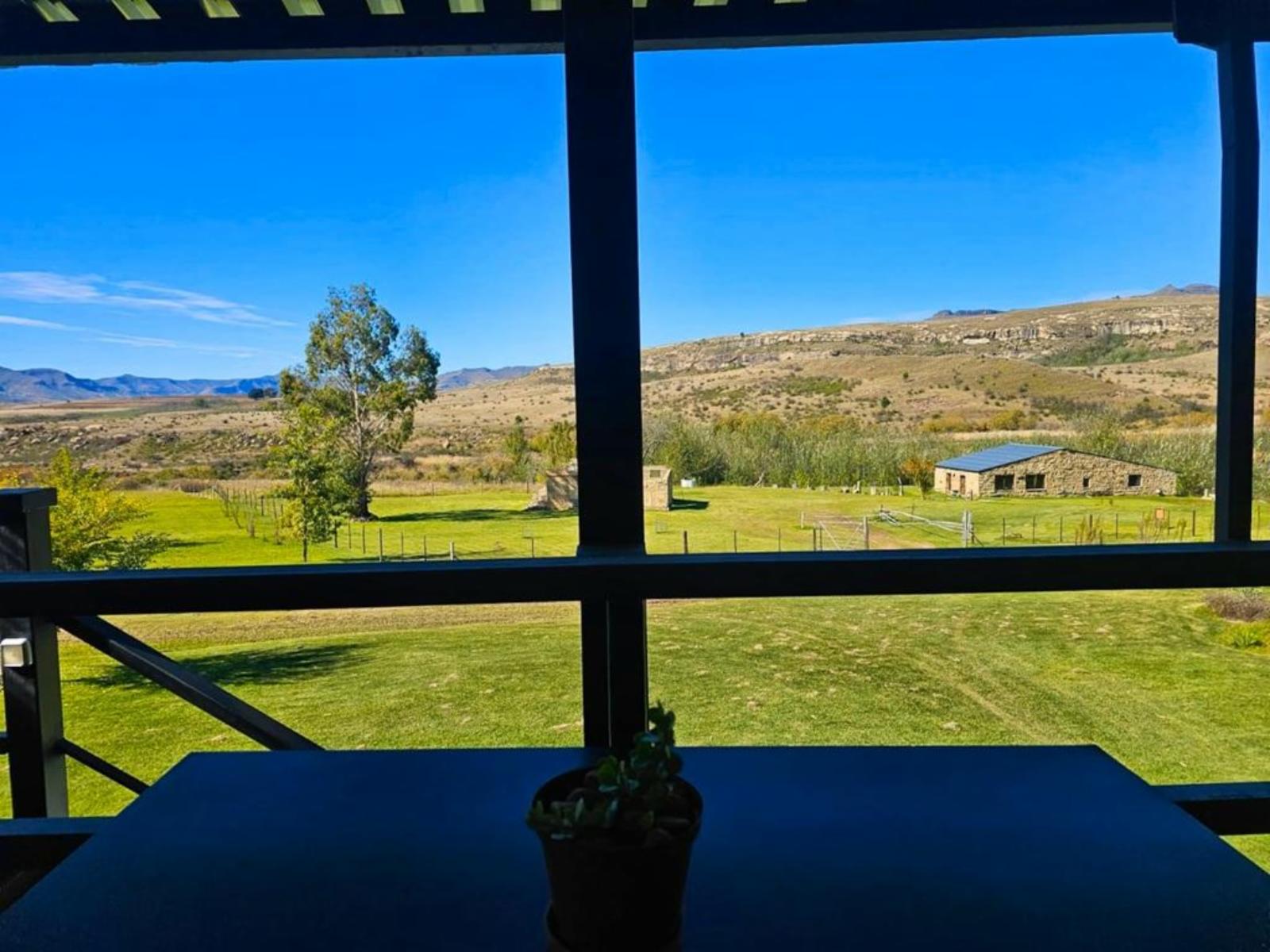 Garden view