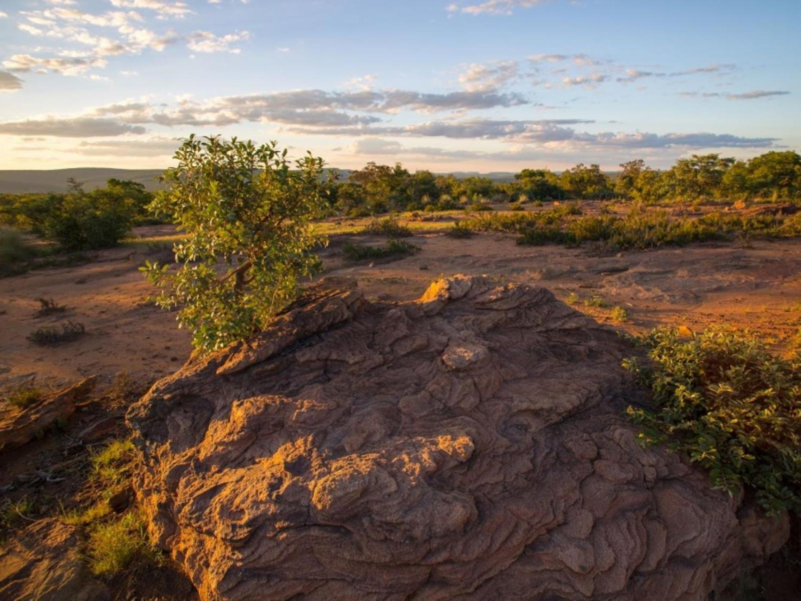 Natural landscape