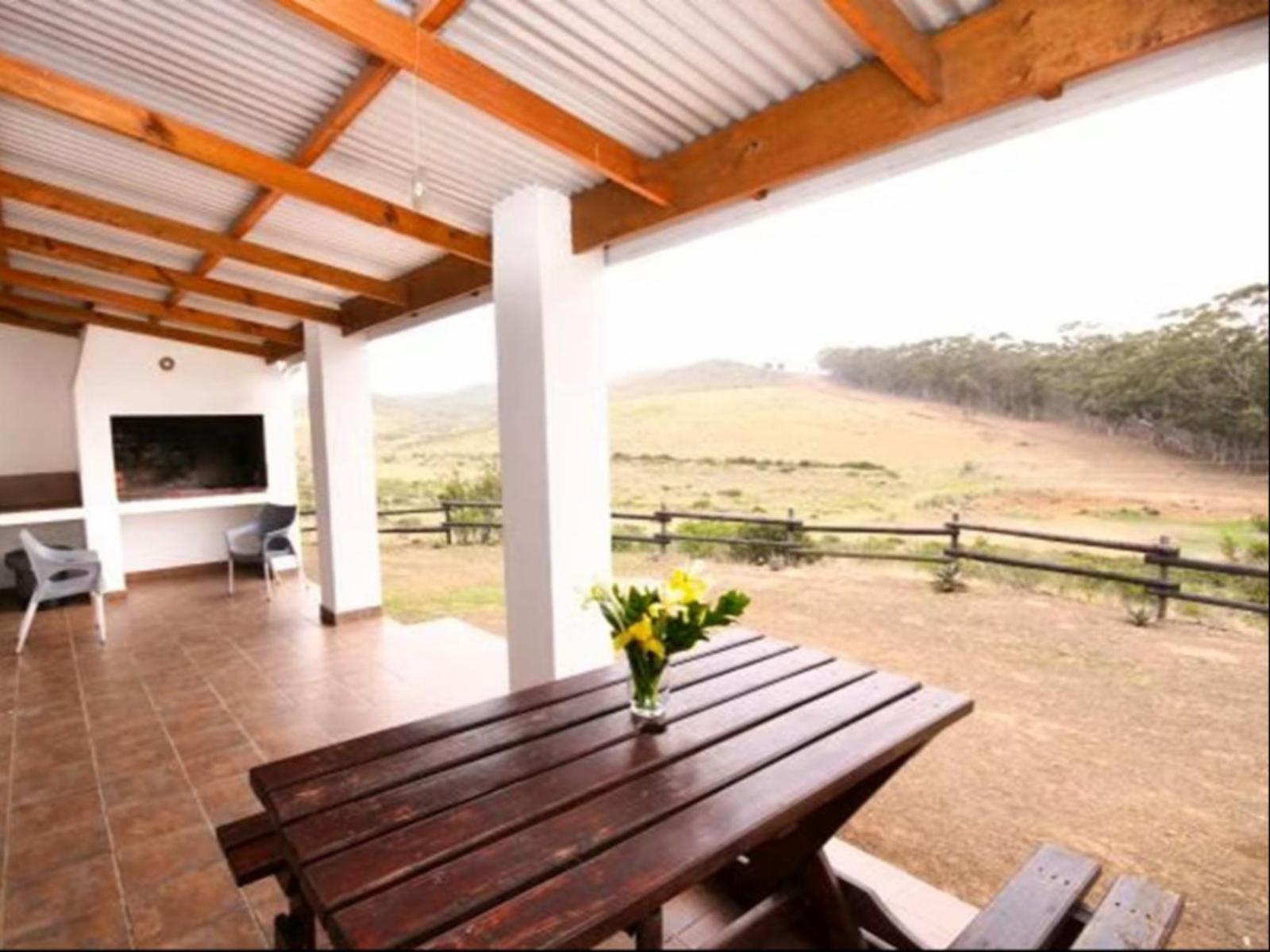 Room 1 — Patio