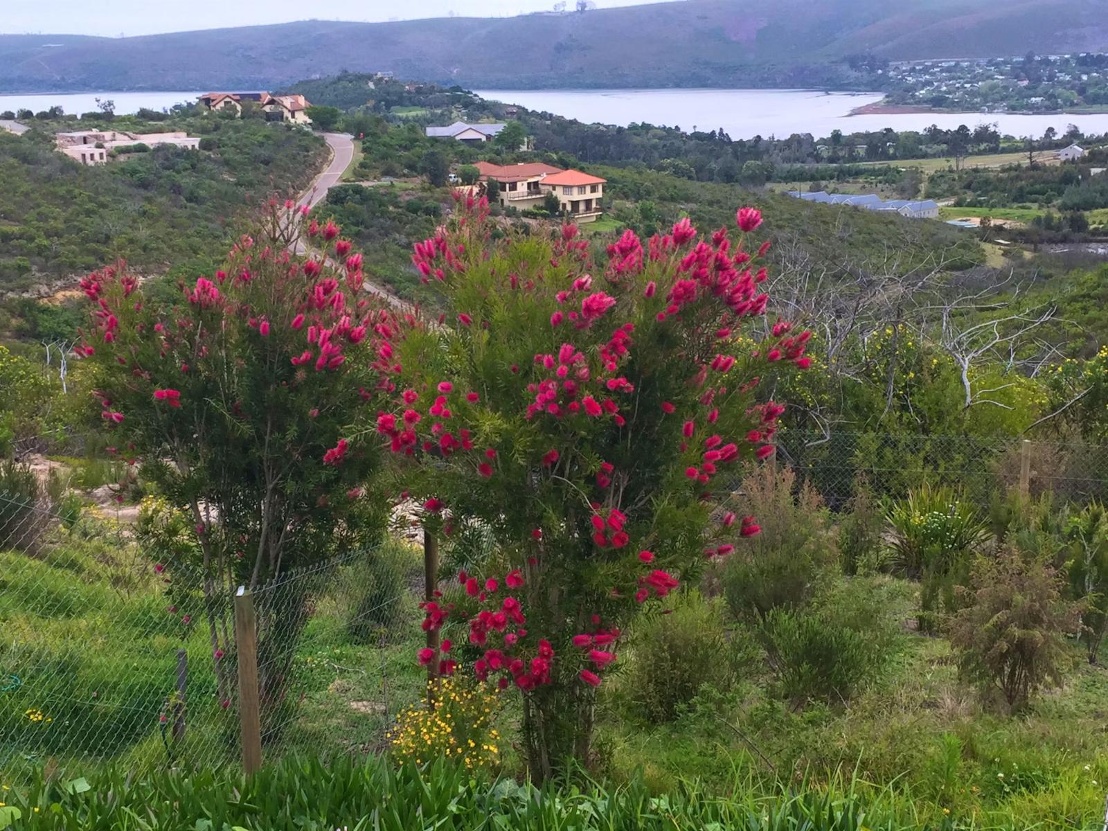 Natural landscape