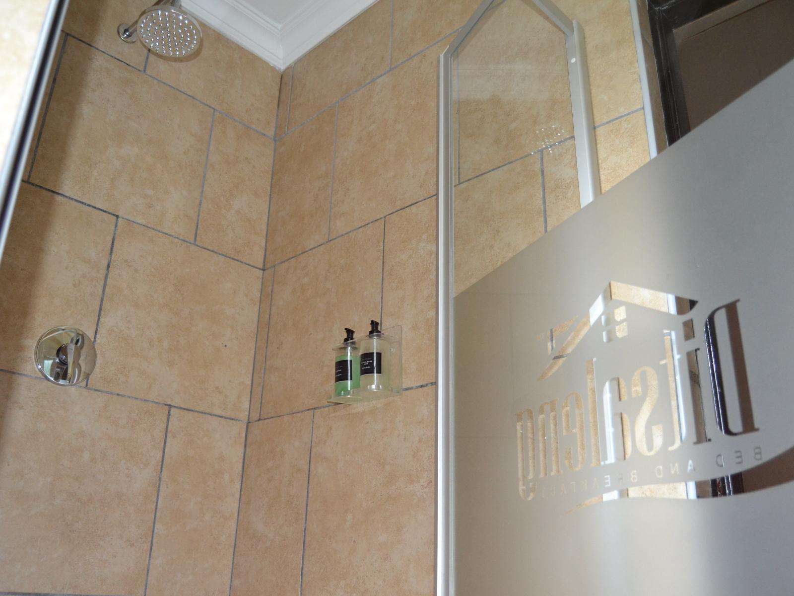 Room 2 — Shower