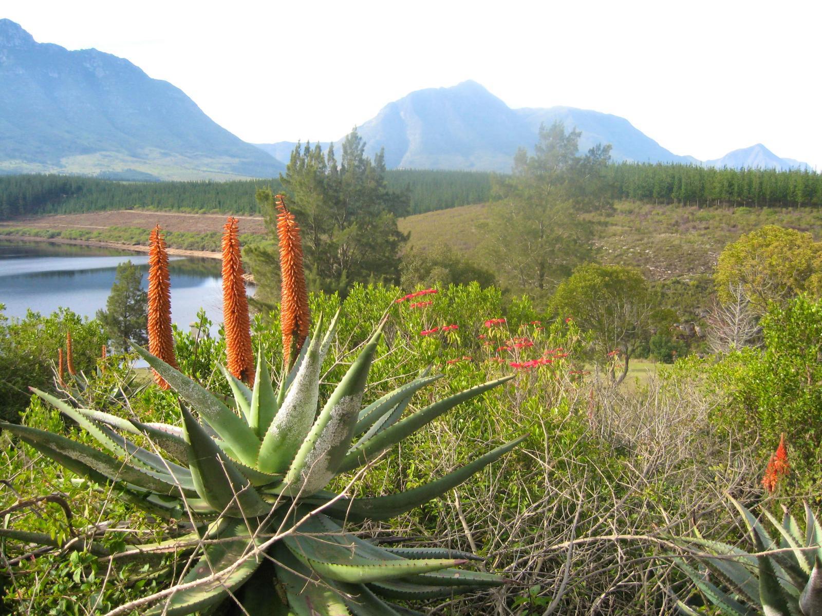 Natural landscape