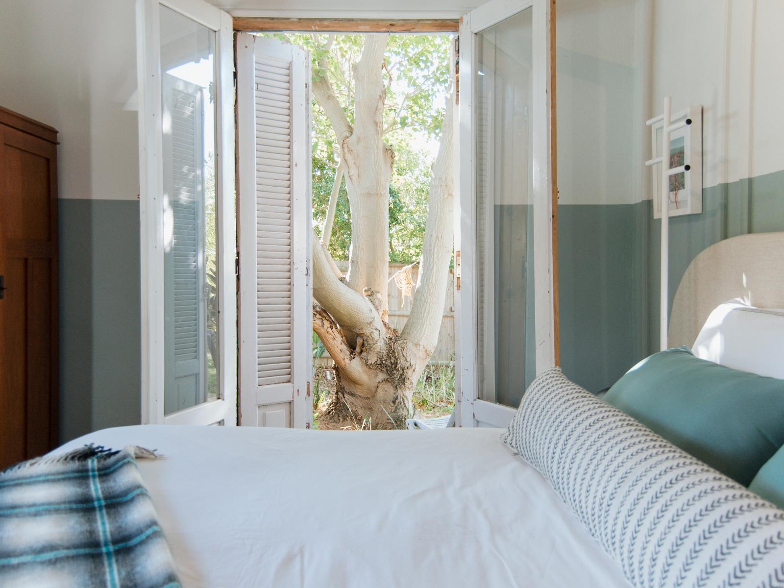 Room 1 — View (from property/room)