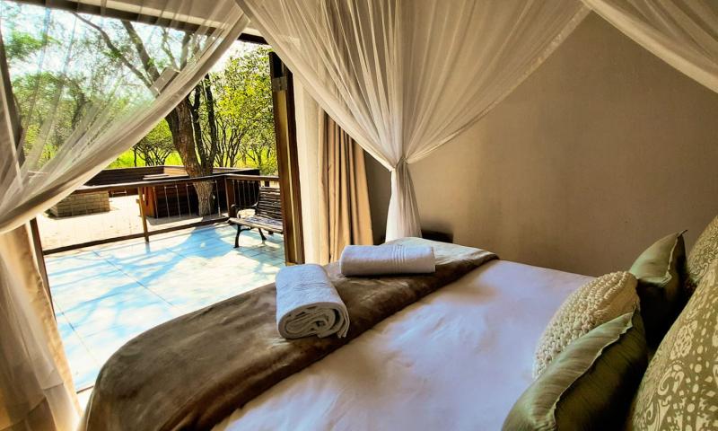 Purple Gecko & Green Chameleon Guesthouse in Hectorspruit 3