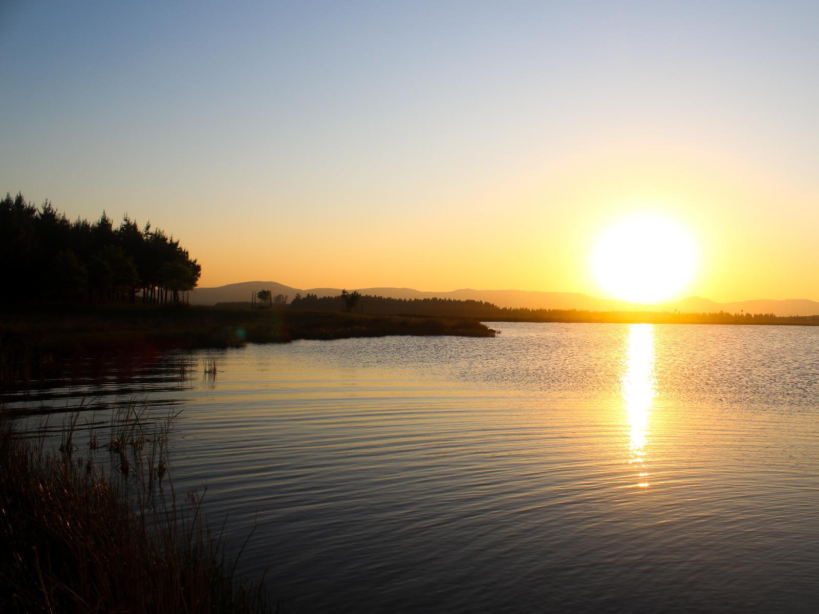 Lake view