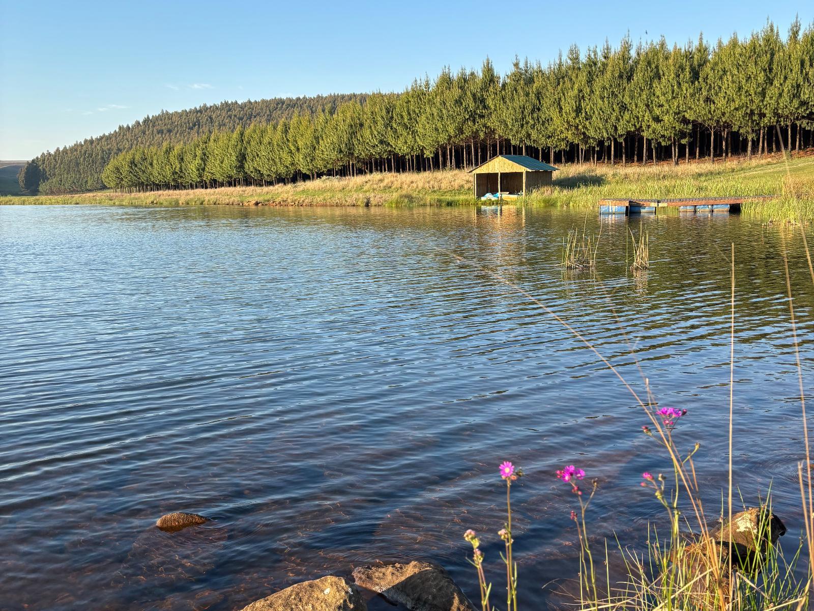 Lake view