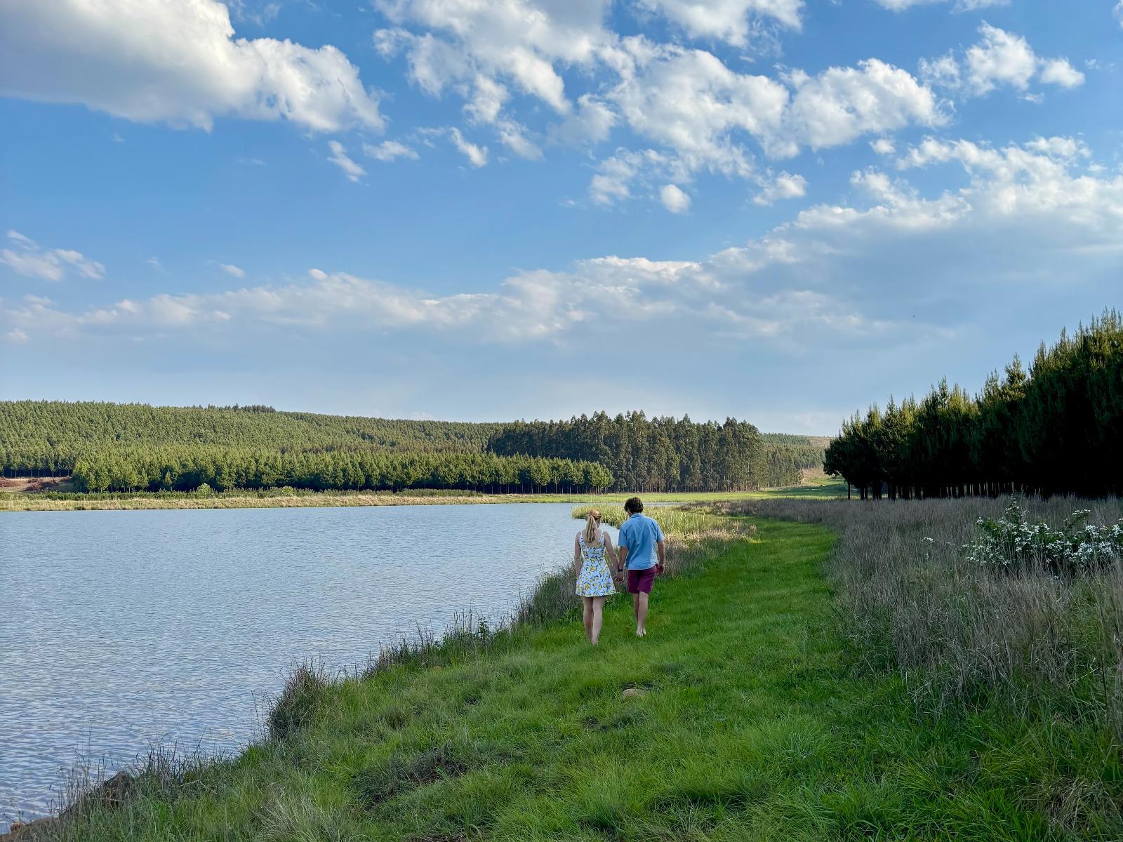 Natural landscape