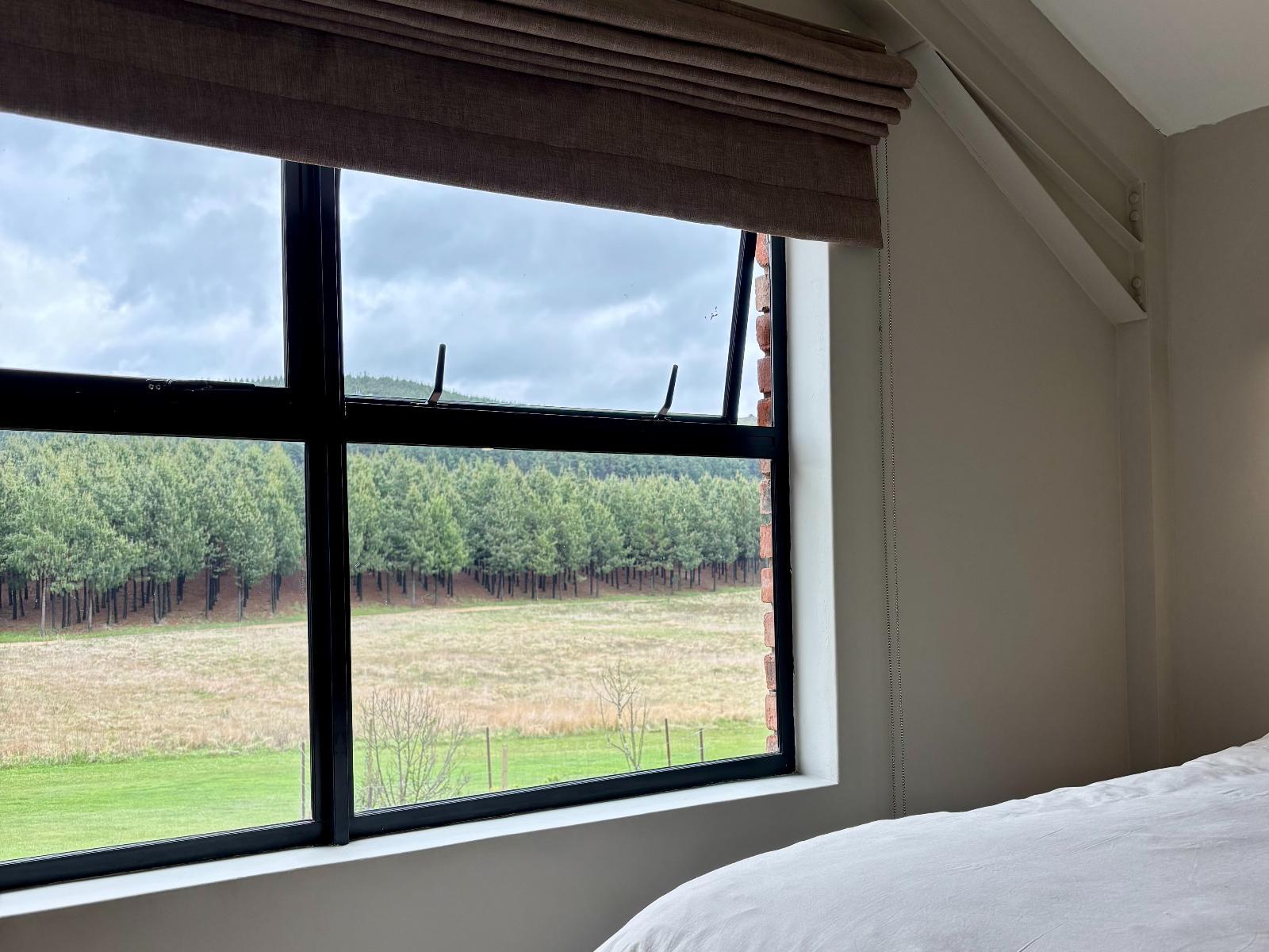 Room 1 — View (from property/room)