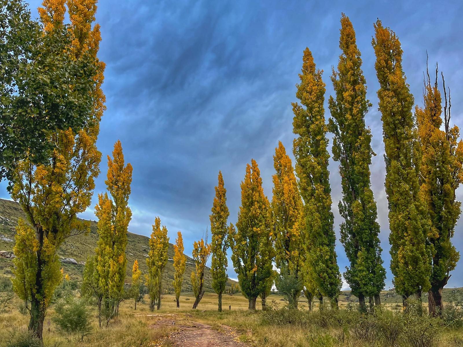 Natural landscape