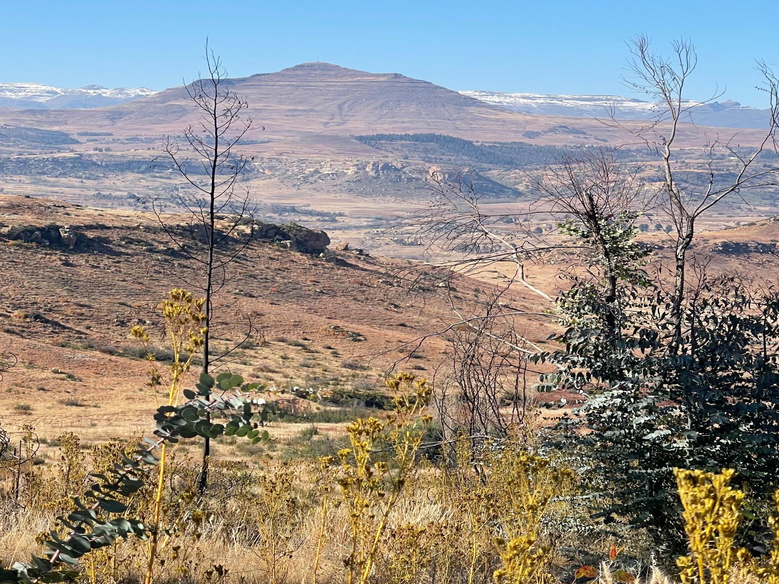 Mountain view