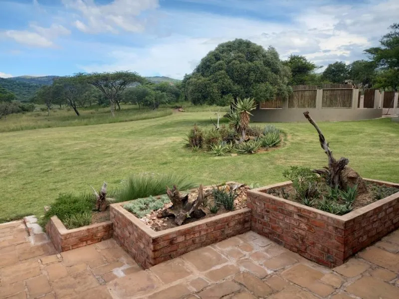 Garden with raised planters and trees on a grassy lawn under a blue sky
