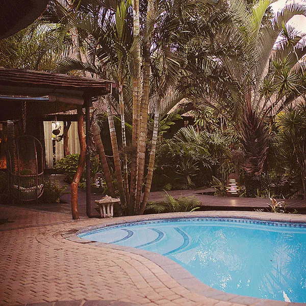 Swimming pool surrounded by tropical plants and a wooden swing in a garden