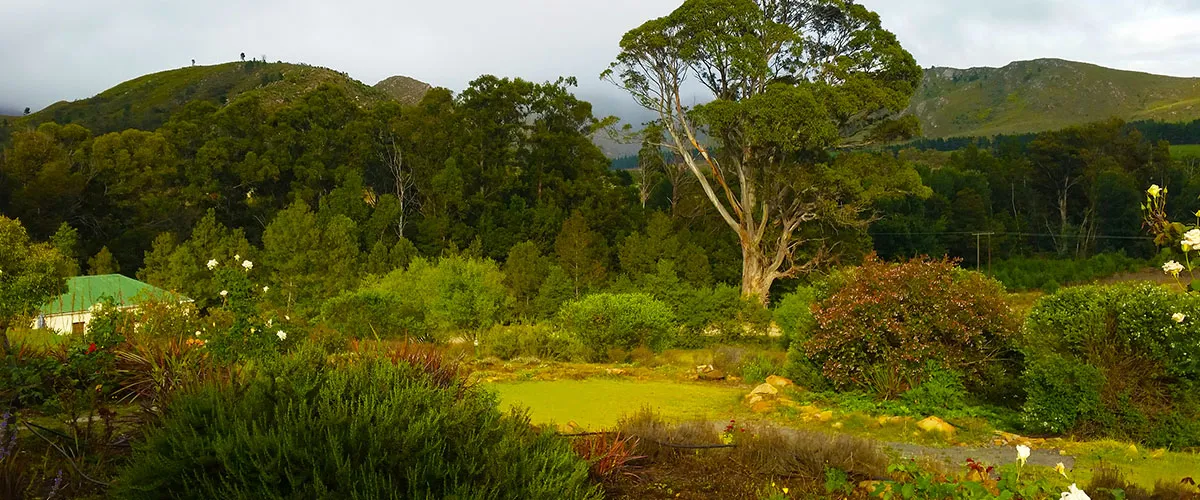 Lush green garden with trees and distant mountains under a cloudy sky