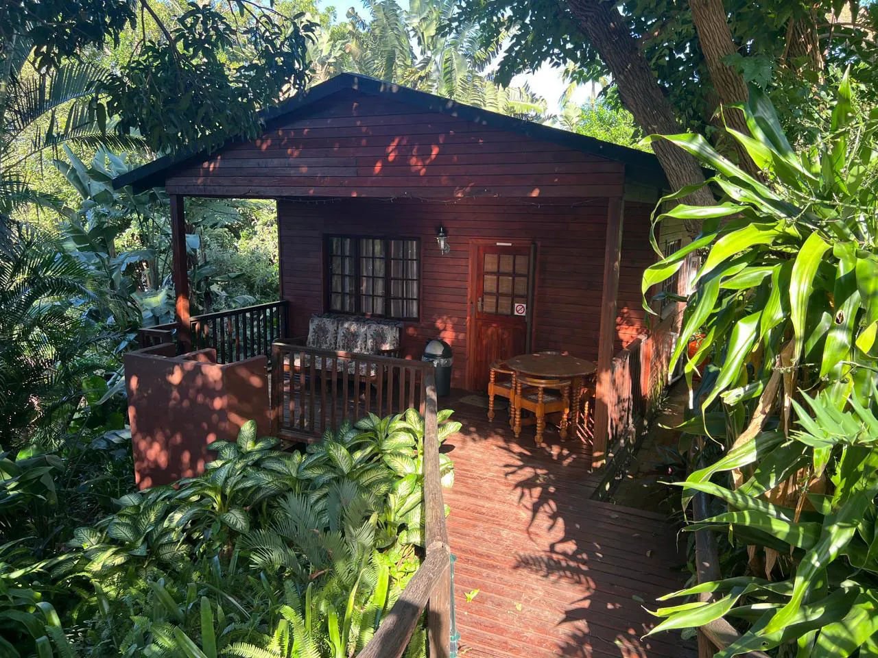 Wooden cabin with porch surrounded by lush greenery in a forest setting