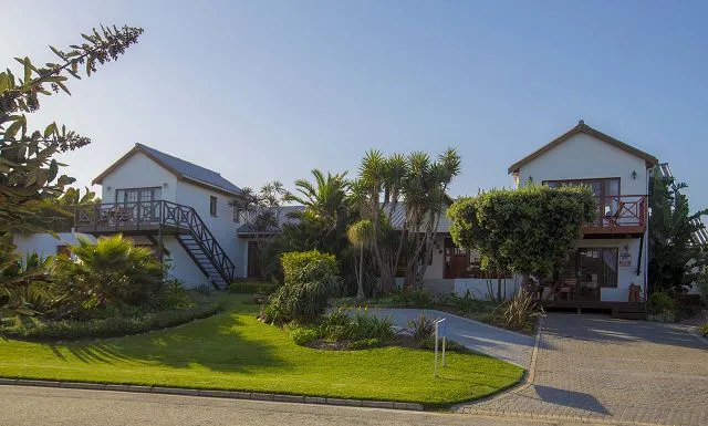 Modern house with lush garden palm trees and paved driveway in sunny weather