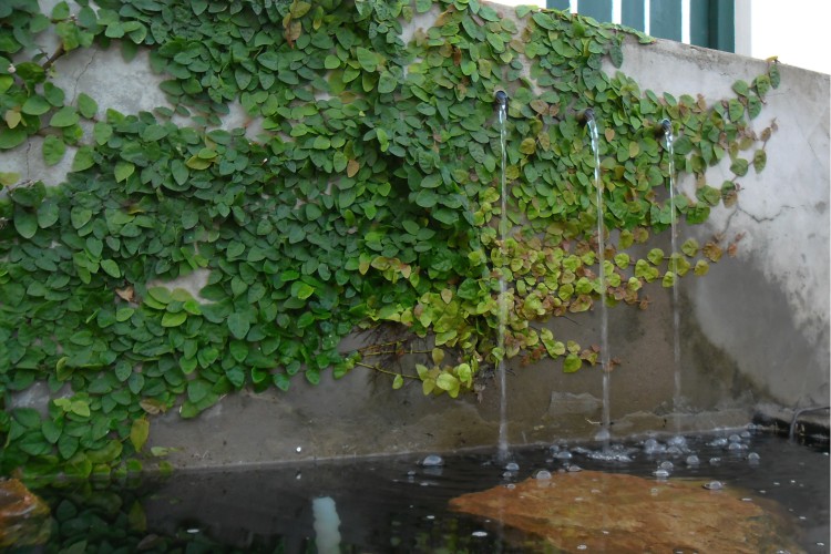 De Doornkraal Vinotel