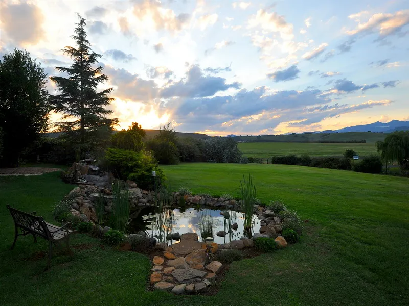 A serene garden pond with a bench surrounded by grass and trees at sunset