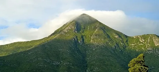 Lush green mountain under a partly cloudy sky with a tree in the foreground