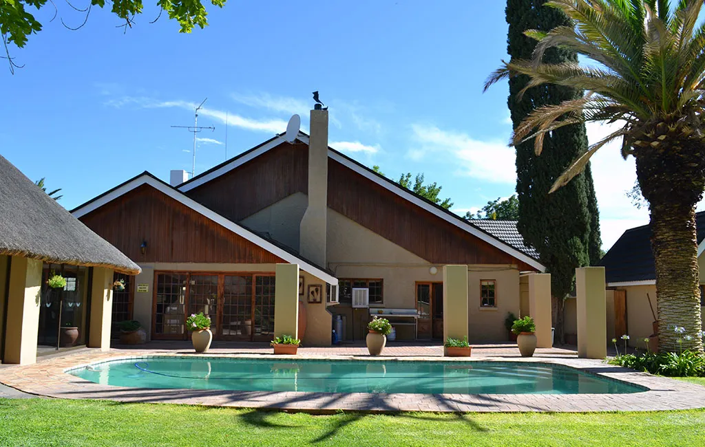 Modern house with pool palm trees and clear blue sky in a sunny garden