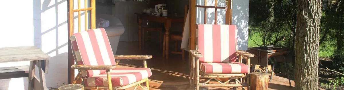 Two striped chairs on a wooden deck outside a house with trees in background
