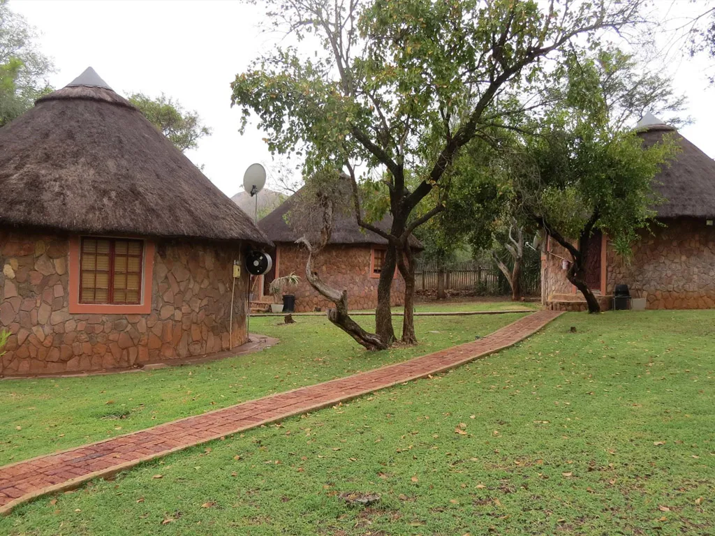 Traditional huts with thatched roofs in a grassy area with trees