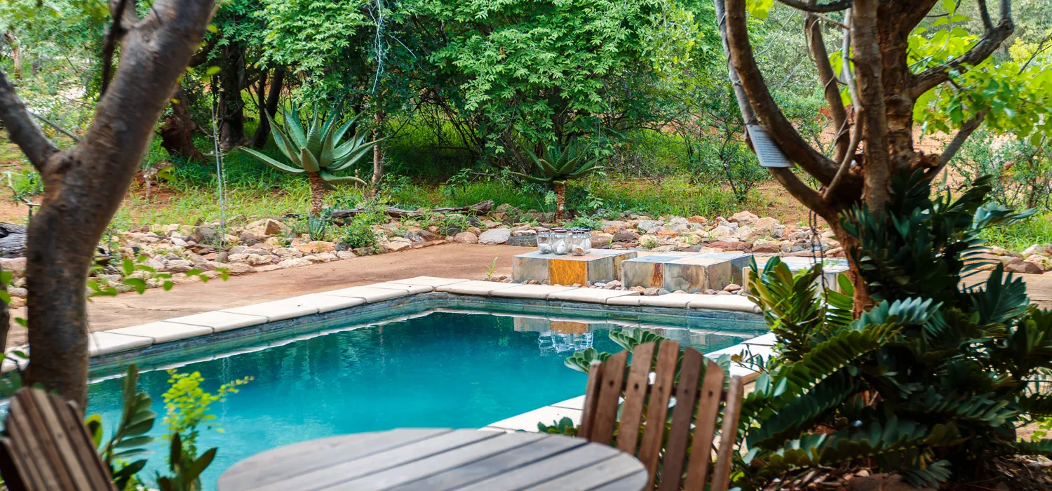 Swimming pool surrounded by lush greenery and wooden chairs in a garden setting