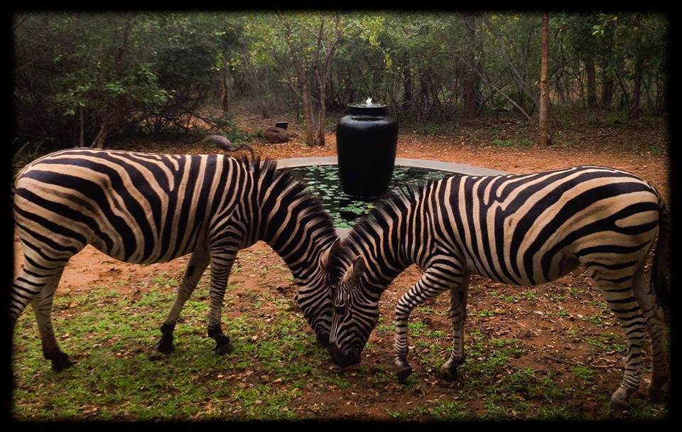 Shikwari Nature Reserve