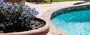 Potted flowers next to a swimming pool with blue water