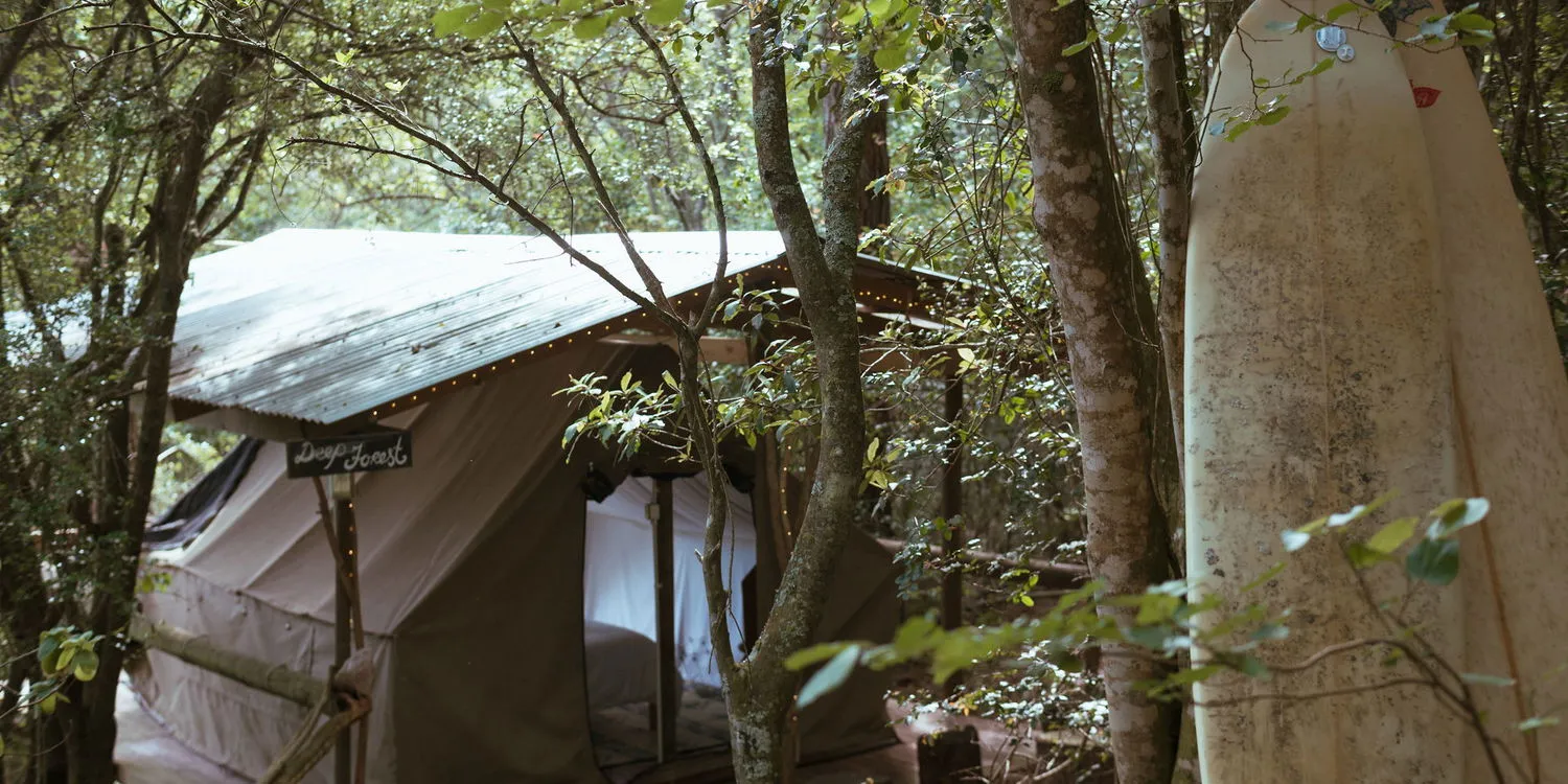 Tent in a forest with a surfboard leaning against a tree