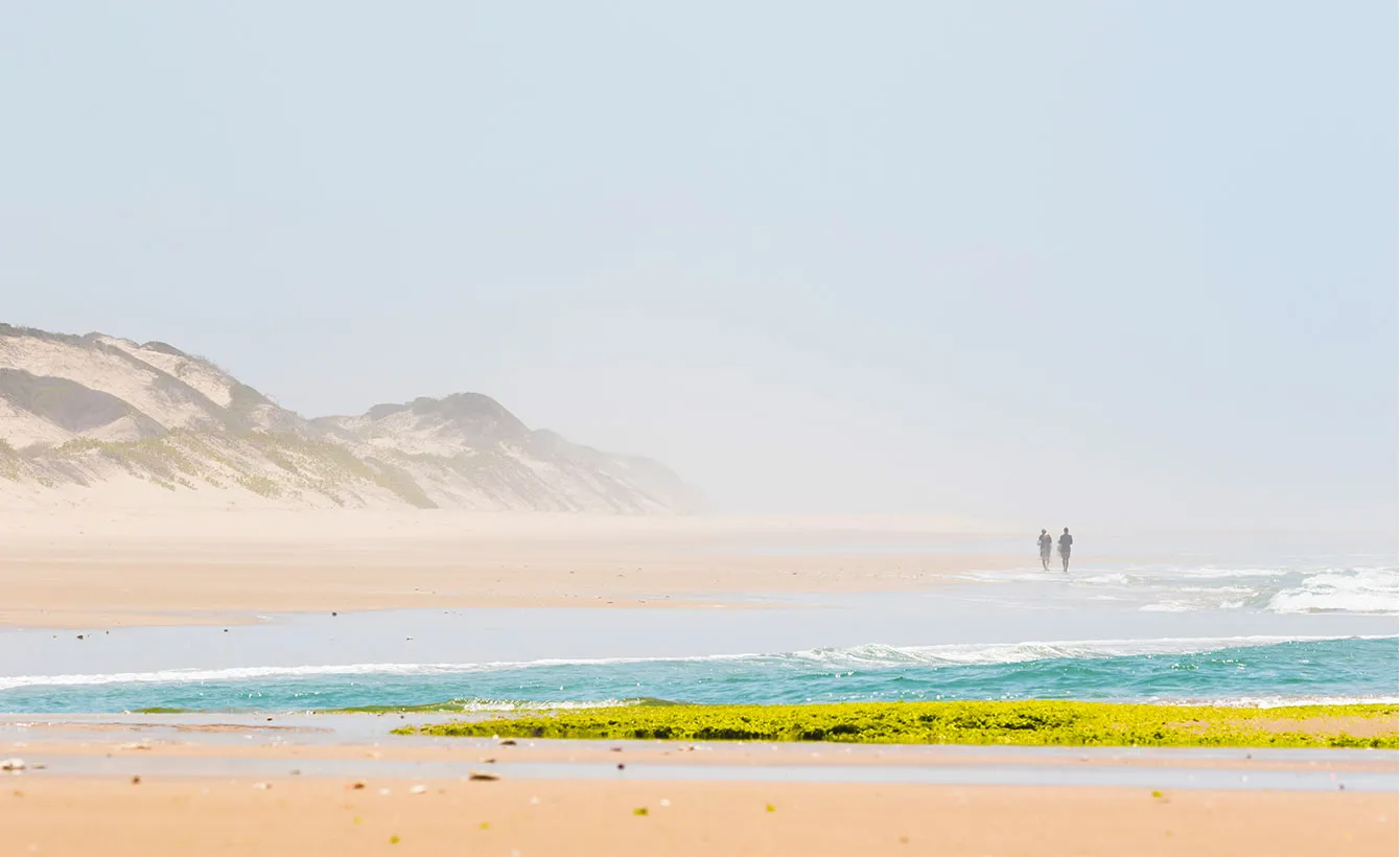Two people walking on a beach with dunes and waves in the background