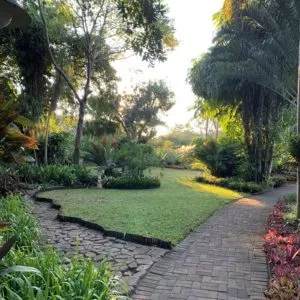 Pathway through a lush garden with trees and plants in sunlight