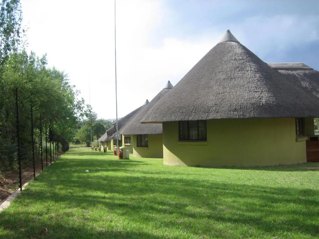 Row of traditional huts with thatched roofs in a grassy area under cloudy sky