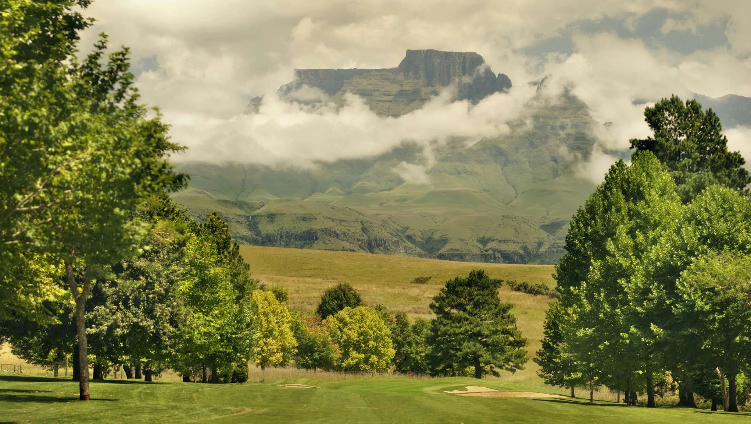 Lush green landscape with trees and a mountain partially covered by clouds