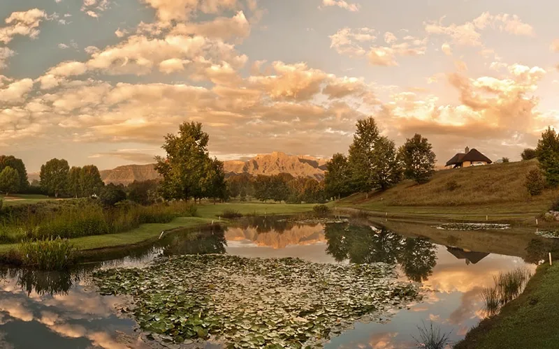 Sunset over a pond with lily pads trees and mountains in the background