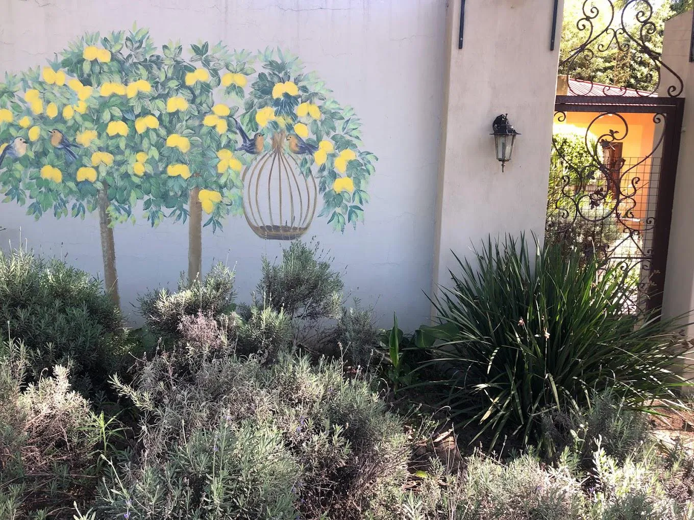 Mural of lemon trees with a birdcage on a white wall beside plants